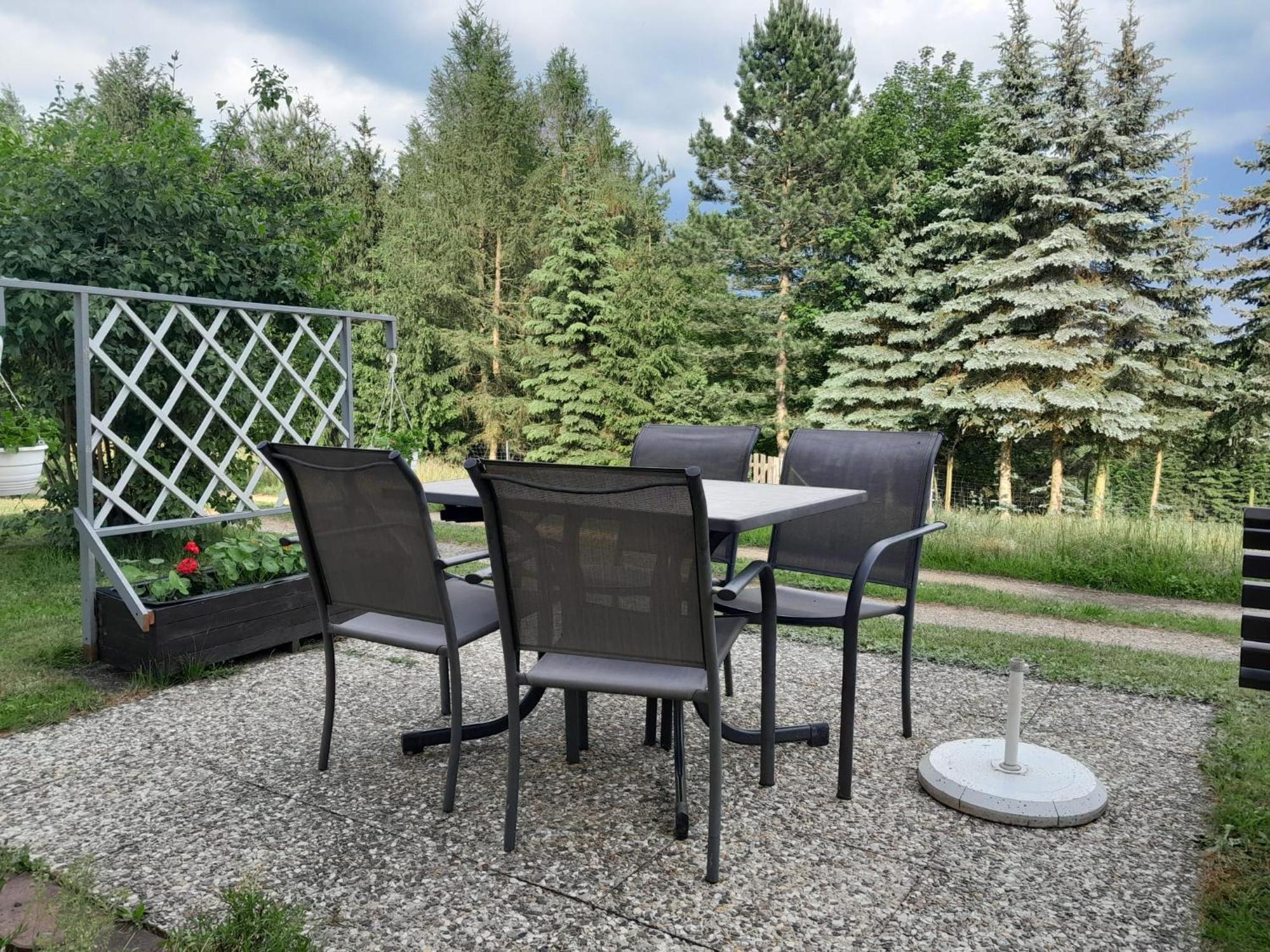 Ferienwohnung Blick Zum Zirkelstein Reinhardtsdorf-Schona Exterior photo